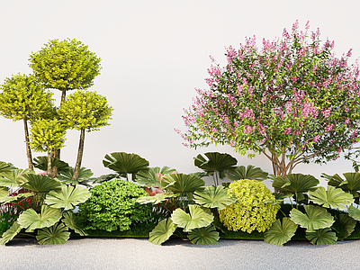 植物组合 现代植物组团 花境绿植组合 景观树 乔木灌木球