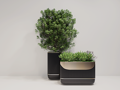 植物组合 户外花箱 盆栽组合