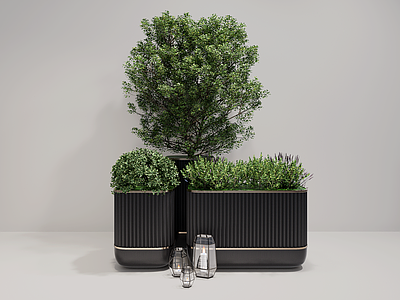 植物组合 户外花箱 盆栽组合 花箱