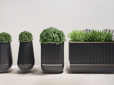 植物组合 盆栽组合 户外花箱 花箱