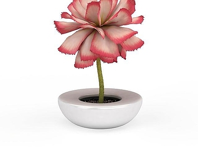 现代佛龛 装饰花