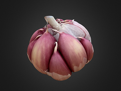 酒水食物 大蒜 蒜 蔬菜