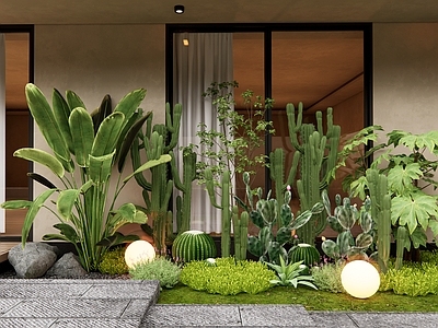 植物堆 多肉植物 仙人掌 佛甲草 庭院植物 植物组合