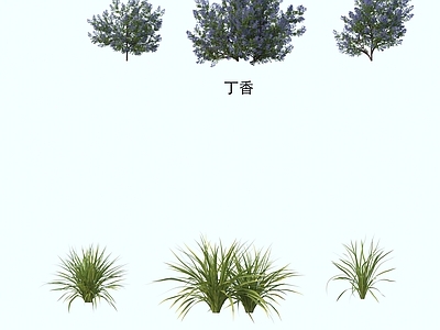 其他树木 灌木花草 植物类