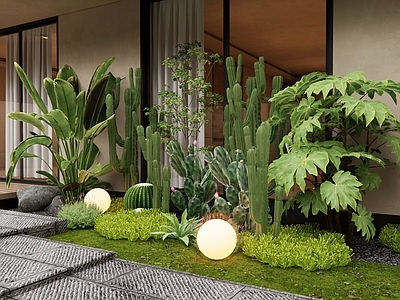 花草组合 佛甲草 多肉 仙人掌 植物堆 庭院植物