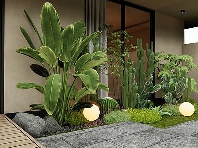 植物堆 花草 灌木 多肉 仙人掌 佛甲草