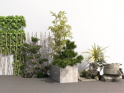 现代户外庭院景观植物绿植