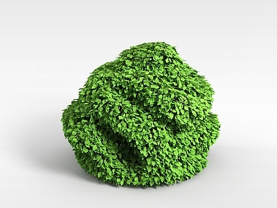 现代灌木 公园灌木