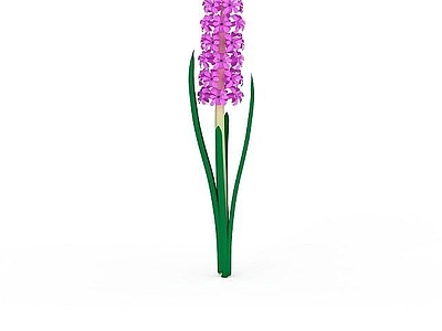 现代佛龛 风信子花