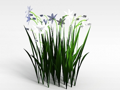 现代佛龛 兰花丛