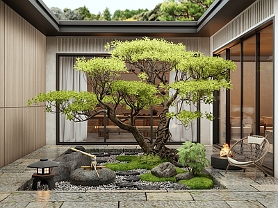 新中式庭院 天井庭院 中庭景观 松树 水钵 汀步石头