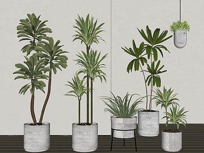 盆栽 现代盆栽盆景 北欧绿植 吊篮 植物