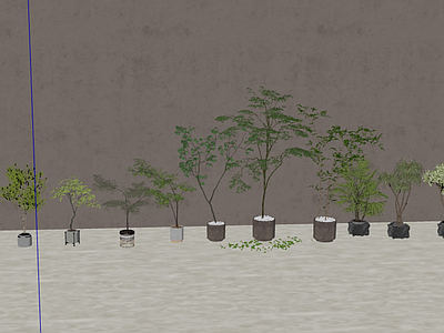 盆栽 植物 绿植 盆景