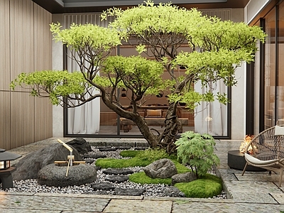 新中式室内景观 天井庭院 水钵水景 汀步 植物造景 户外椅
