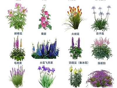 现代街道外景 植物 素材