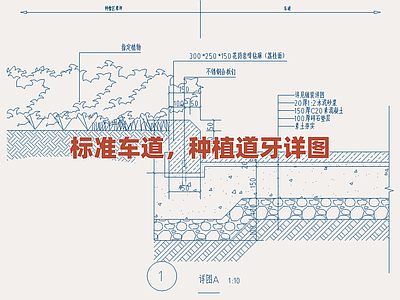 景观节点 标准车道道牙详图 种植道牙构造细部 道路绿化带边缘图 交通边界设施详图 车行道与绿化分隔 施工图