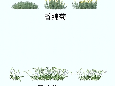 其他树木 灌木花草 植物类