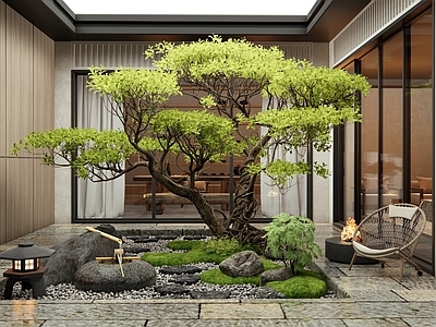 新中式庭院 天井室内景观 水钵水景 汀步石 景观树 户外休闲椅