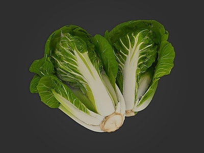 酒水食物 蔬菜 白菜 小白菜 瓢儿白