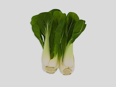 酒水食物 蔬菜 小白菜 白菜