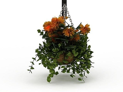 现代鲜花吊篮