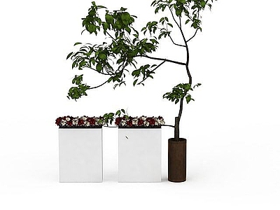 现代花木盆景组合
