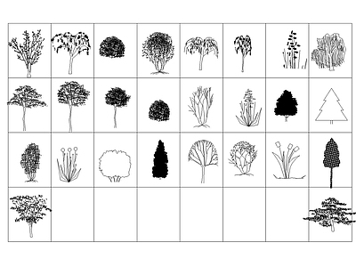 现代综合植物图库 植物 图例 人 施工图