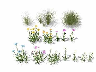 花草 花境 花草 花卉 草丛