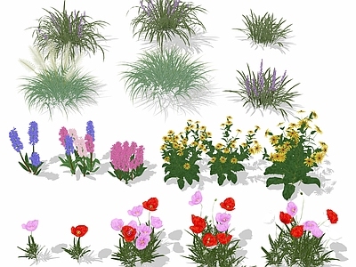 花草 花境 花卉 花草 花丛 草丛