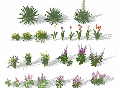 花草 花境 盆栽花草 花坛花草 花丛草丛 花卉