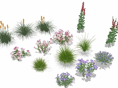 花草 花境 花卉 花丛草丛
