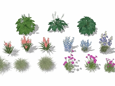 花草 花境 花草花卉 花丛草丛