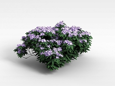 现代佛龛 灌木紫色花株
