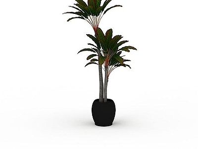 现代摆件组合 室内景观绿植盆栽