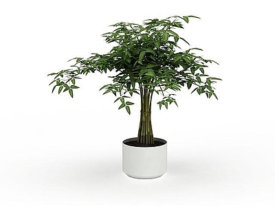 现代摆件组合 观叶绿植盆景