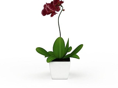 现代摆件组合 盆栽花盆