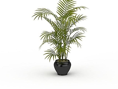 现代摆件组合 净化空气植物盆栽