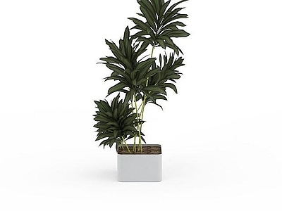 现代摆件组合 绿叶植物盆栽
