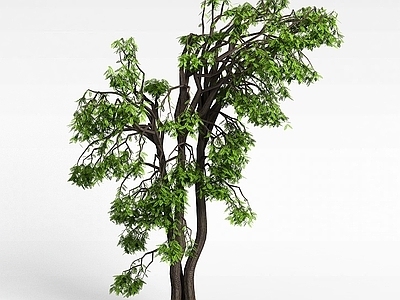 现代佛龛 游戏元素植物