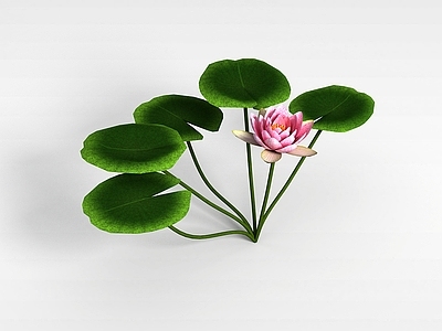 现代佛龛 荷塘荷花