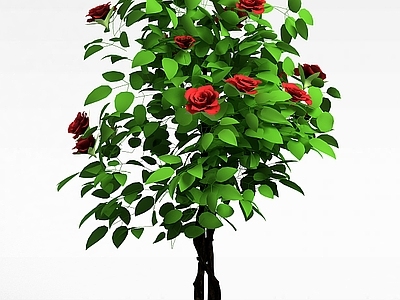 现代办公桌 月季花树