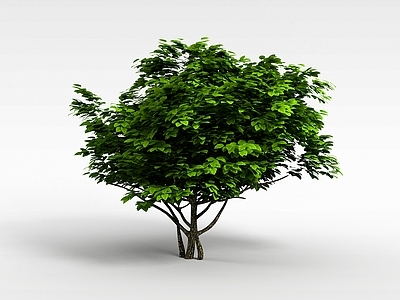 现代办公桌 园林绿化植物