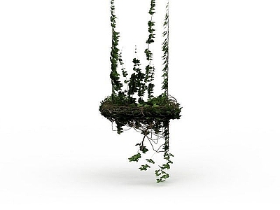 现代直播间 爬山虎