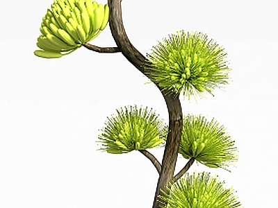 现代办公桌 景观树