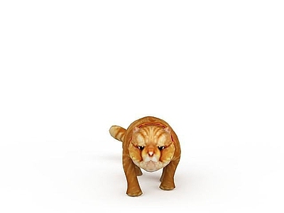 现代爬行类动物 猫
