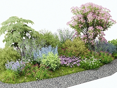 灌木 花境 花草组合 植物堆 植物造景 庭院植物