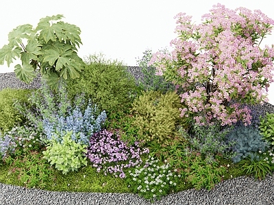 植物堆 花草组合 花境 灌木 植物造景 花卉