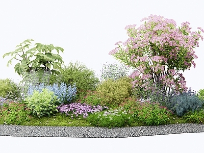 灌木 花草组合 花境 植物堆 庭院植物 花坛花草
