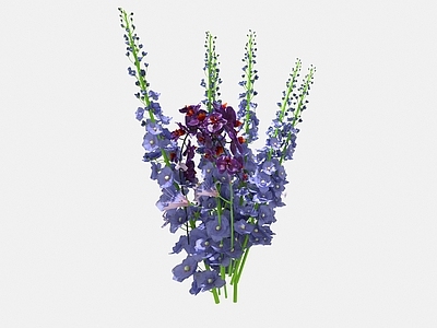 花 鲜花 花束 紫色鲜花 紫罗兰