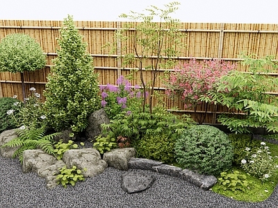 灌木 花境 植物组合 植物景观 灌木球 花草
